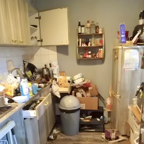 Untitled design (37)