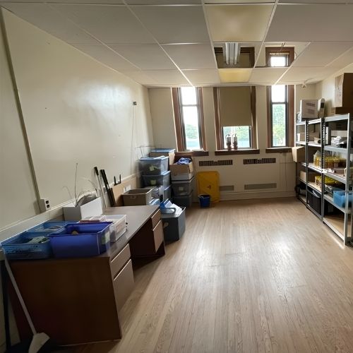 Untitled design (40)